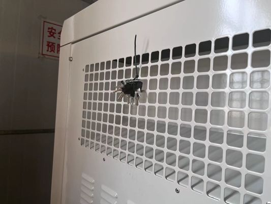 시일런트 박스 100kW 디젤 발전기용 대형 백업 전원
