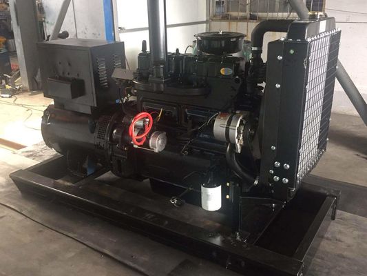 ISO9001 인증 30KW 디젤 발전기 세트와 웨이판 시리즈 및 휴대용 공기 필터